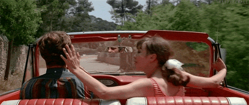 vX87VMpLqAGRduqcSu644YK_p14WLzTceAVrTBBnsYxSYMgg3qT11eh9JYsw5xCf.gif