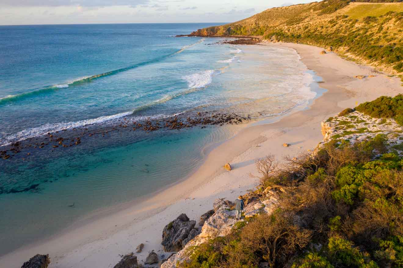 7 MustDo Day Trips from Adelaide (+How To Get There&Prices!)