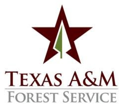 Texas A&M Forest Service Forest Therapy @ Texas A&M Forest Service | Conroe | Texas | United States