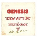 GENESIS FRENCH 7'PROMO - I KNOW WH…