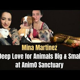 Deep Love for Animals Big & Small at AnimO Sanctuary - talking with Mina Martinez
