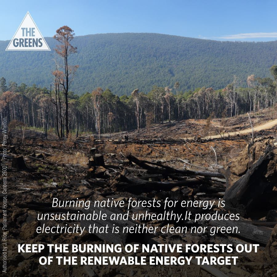 Keep burning native forests out of the RET