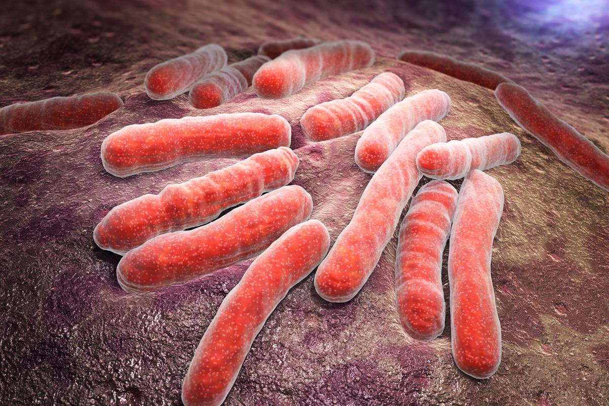 An impression of Mycobacterium tuberculosis, the bacteria that causes tuberculosis