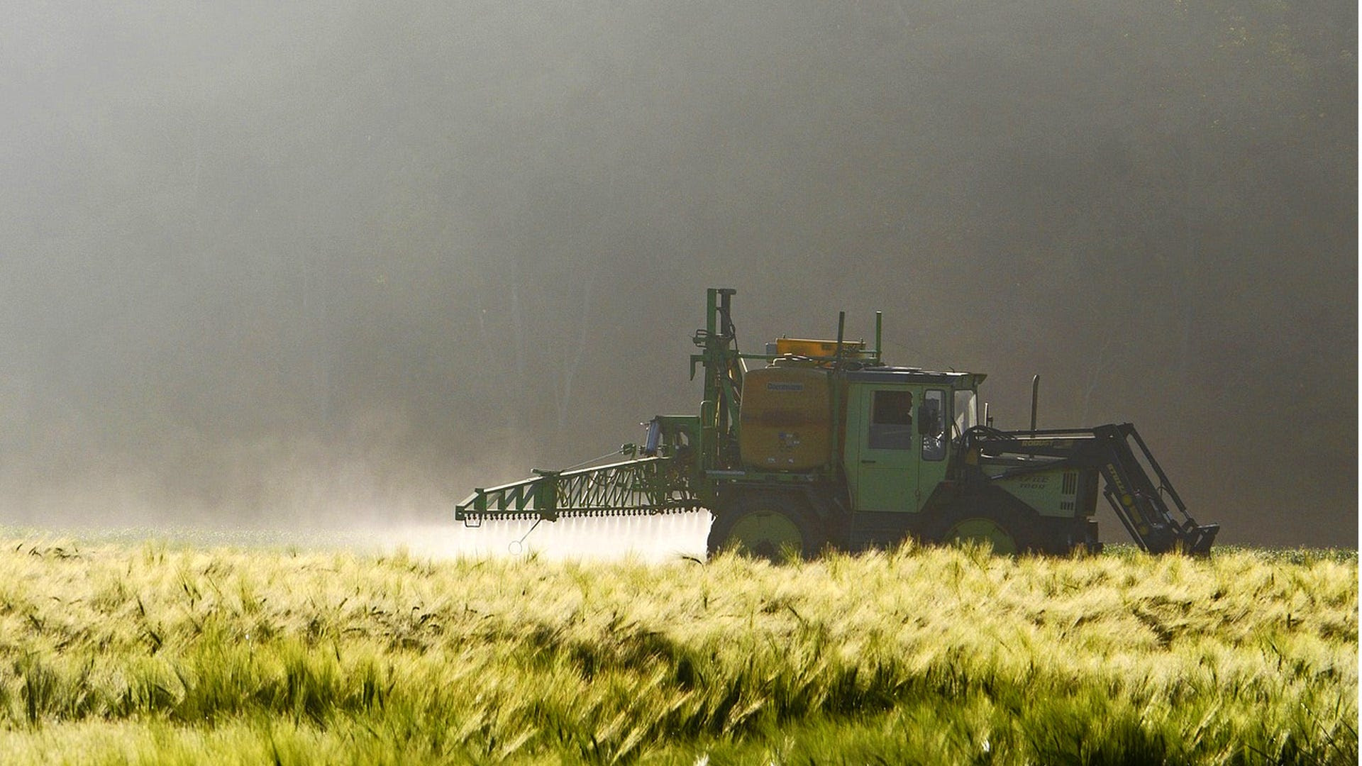 Childhood Exposure to Glyphosate Linked to Liver Inflammation and Metabolic Disorder Https%3A%2F%2Fsubstack-post-media.s3.amazonaws.com%2Fpublic%2Fimages%2Fbf12bd0c-5c92-4d72-a141-57ea4d583346_1920x1080