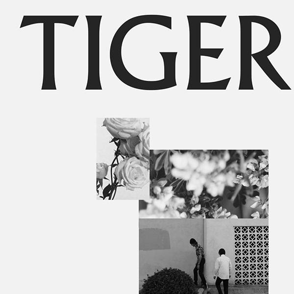 âTIGERâ