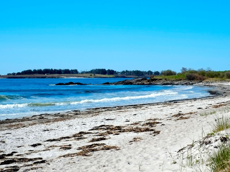 Best Maine Beaches 2020 Daring