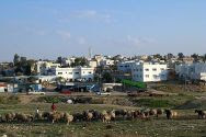 Rahat, the largest Bedouin city in Israel.