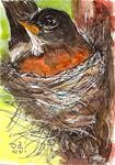 ACEO Robin Nest Illustration Painting Original WC pen ink by Penny StewArt - Posted on Friday, March 20, 2015 by Penny Lee StewArt