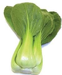 Bok Choy