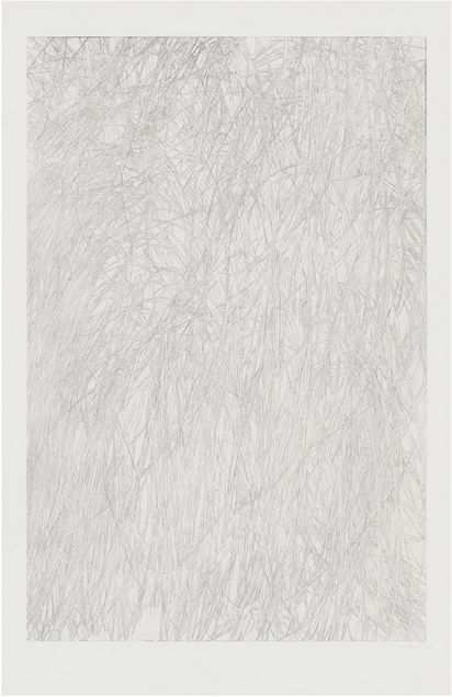 Untitled (grass)