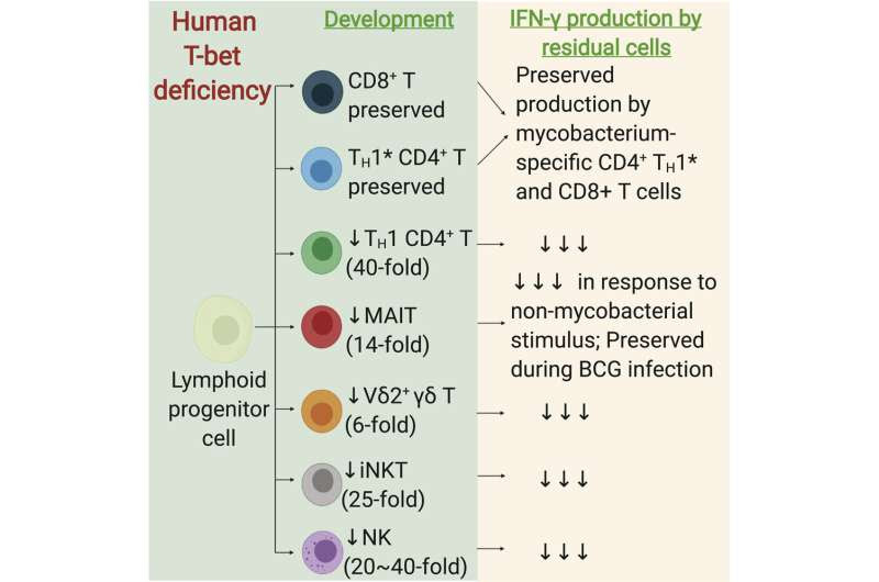 How one patient's rare mutation helped solve a mycobacterial mystery