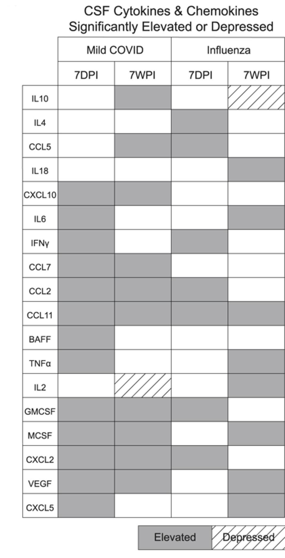 Table comparing the cytokines produced in response to Covid-19 and the flu.