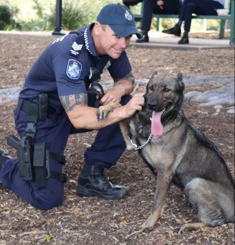 Queensland Police Service are delighted to introduce you to our cutest new recruits