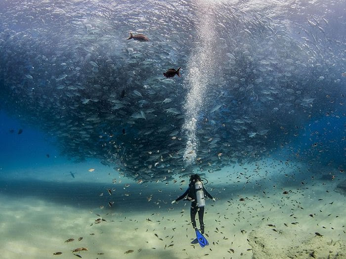 National Geographic 2015