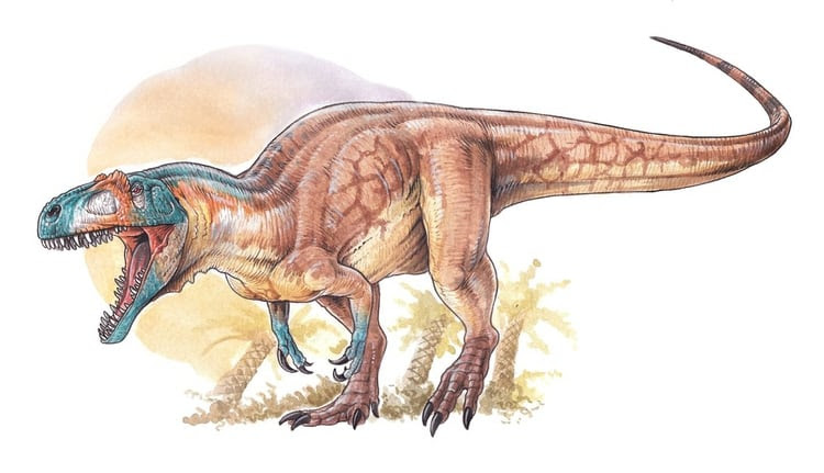 Vivió unos 12 millones de años antes que el T-Rex y es el Tiranosaurio más antiguo descubierto en Canadá