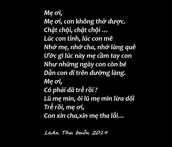 Mẹ ơi-2 (2)