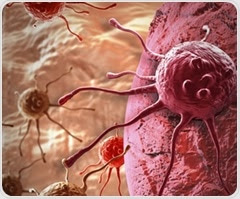Study suggests new target to treat prostate cancer