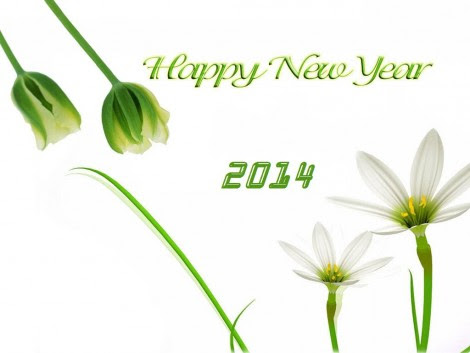 happy-new-year 2014
