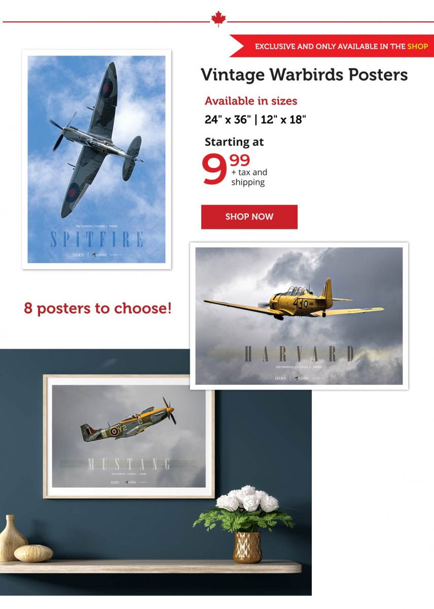 Warbirds Posters