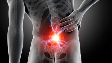 Back Pain Anatomy Science Illustration