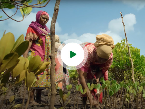 Photo of two women in Africa planting mangroves.