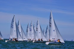 J/22s sailing upwind