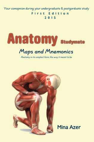Anatomy Studymate: maps & mnemonics EPUB