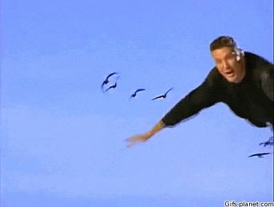 Image result for make gifs motion images of david hasselhoff flying with birds