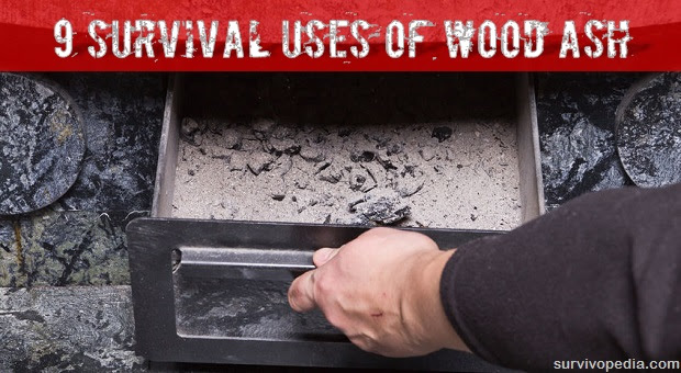 9 Survival Uses of Wood Ash