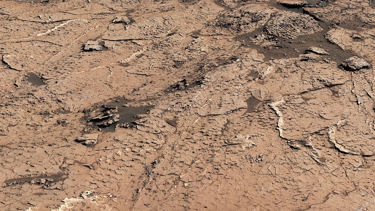 Image shows a closeup view of preserved, ancient mud cracks on the reddish-brown Martian surface.
