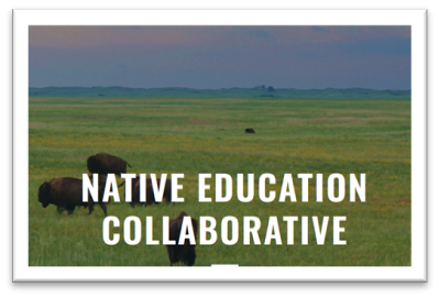 Native Education Collaborative