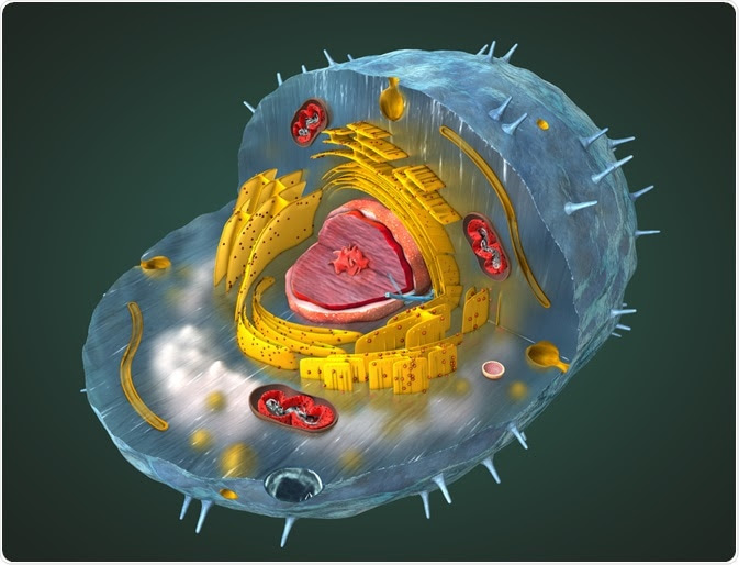 Metabolites within a cell - an illustration by Christoph Burgstedt