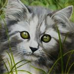 Kitten in the Grass - Posted on Wednesday, February 4, 2015 by Sherry Bevins
