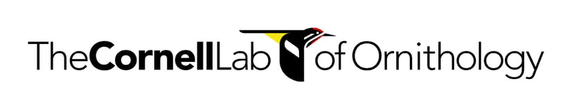 The Cornell Lab of Ornithology Logo