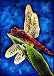 Dragonfly - Posted on Monday, November 10, 2014 by Monique Morin Matson