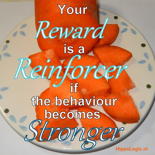 _Reward_reinforcer_hippologic