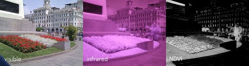 Plaza San Martin, visible-infrared-NDVI