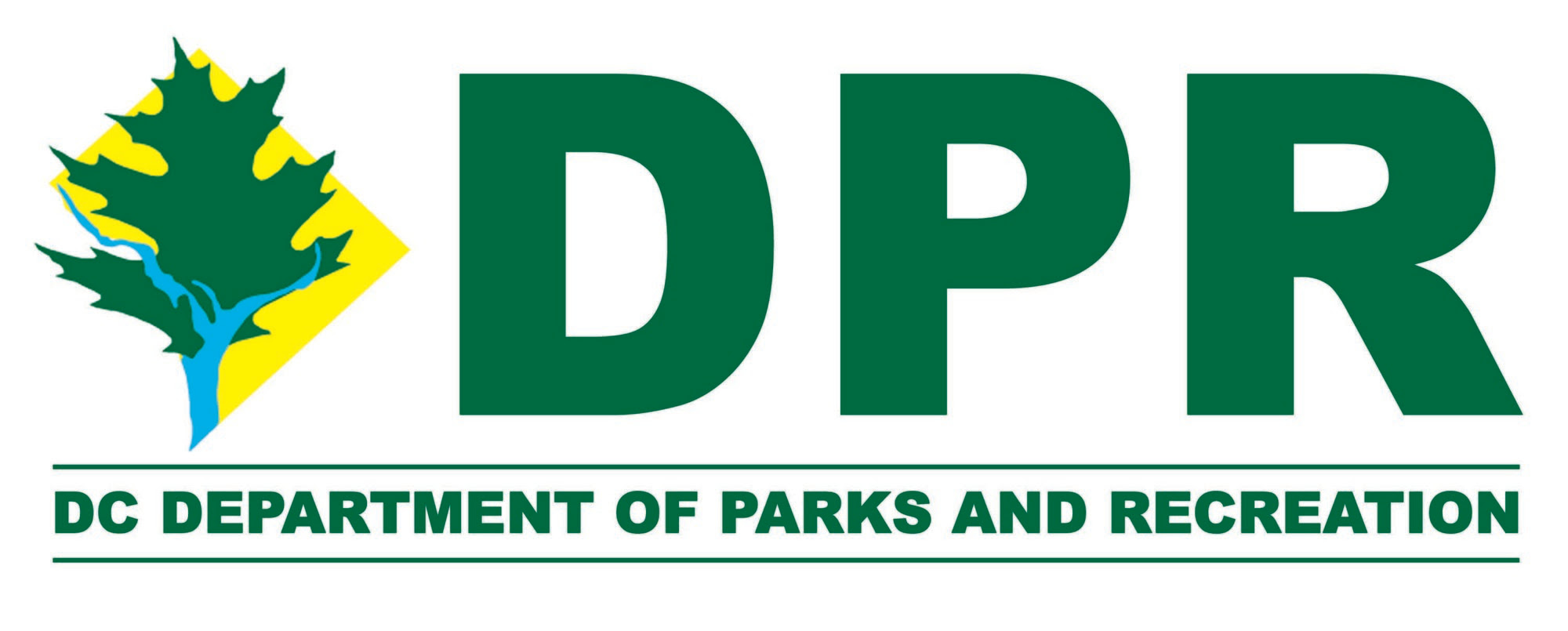 DPR Logo