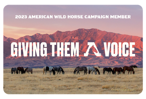 A herd stands grazing in the sunset. The card reads "GIVING THEM A VOICE"