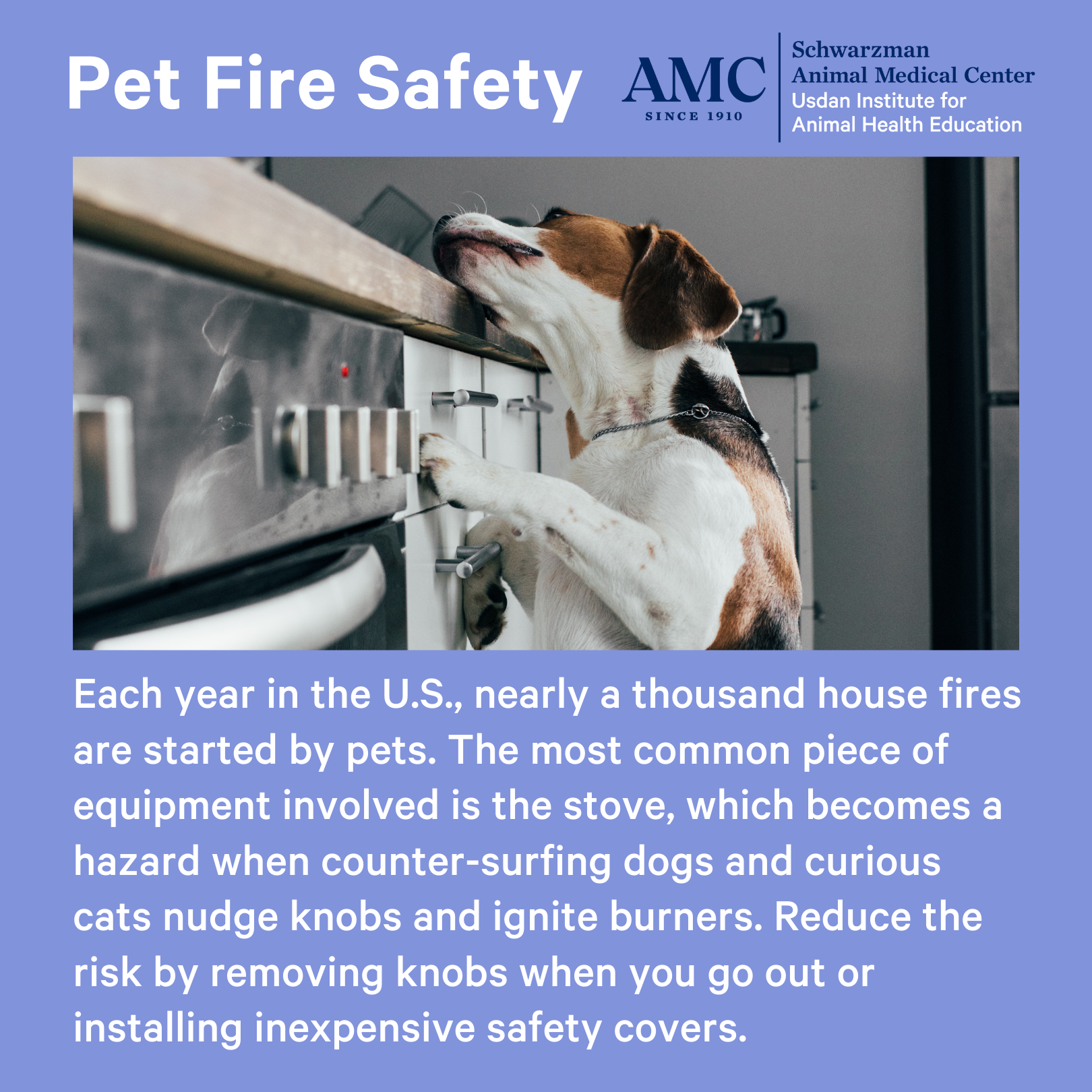 Pet Fire Safety. Each year in the U.S., nearly a thousand house fires are started by pets. The most common piece of equipment involved is the stove, which becomes a hazard when counter-surfing dogs and curious cats nudge knobs and ignite burners. Reduce the risk by removing knobs when you go out or installing inexpensive safety covers. 