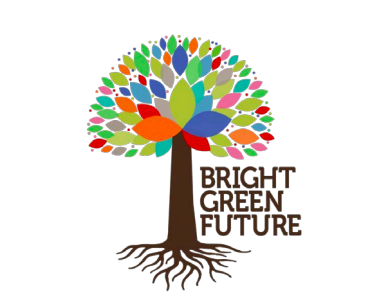 The city is now accepting applications for the Bright Green Futures Grant.