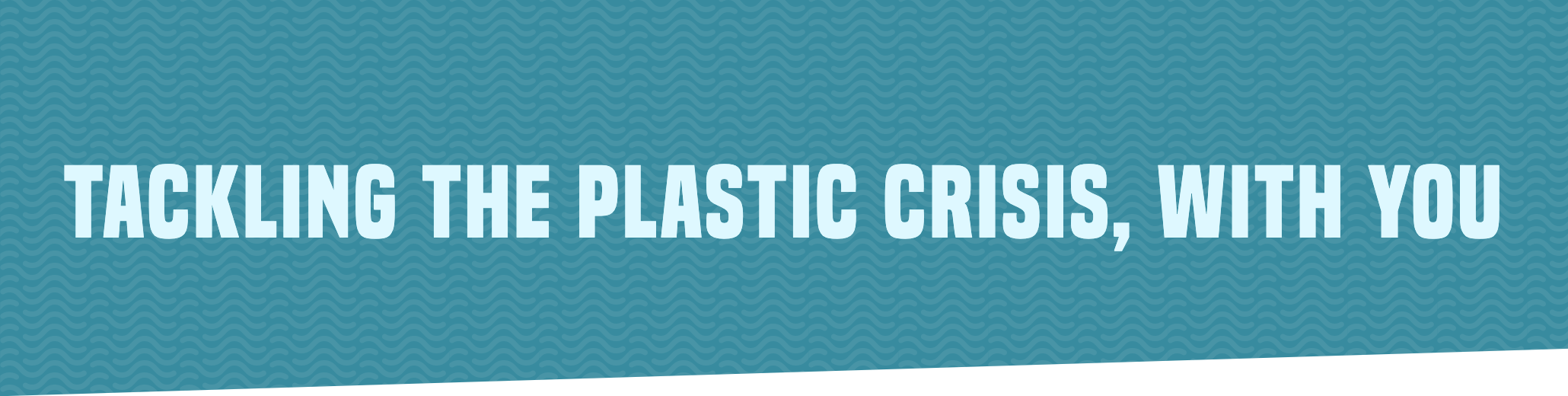 Tackling the Plastic Crisis, With You