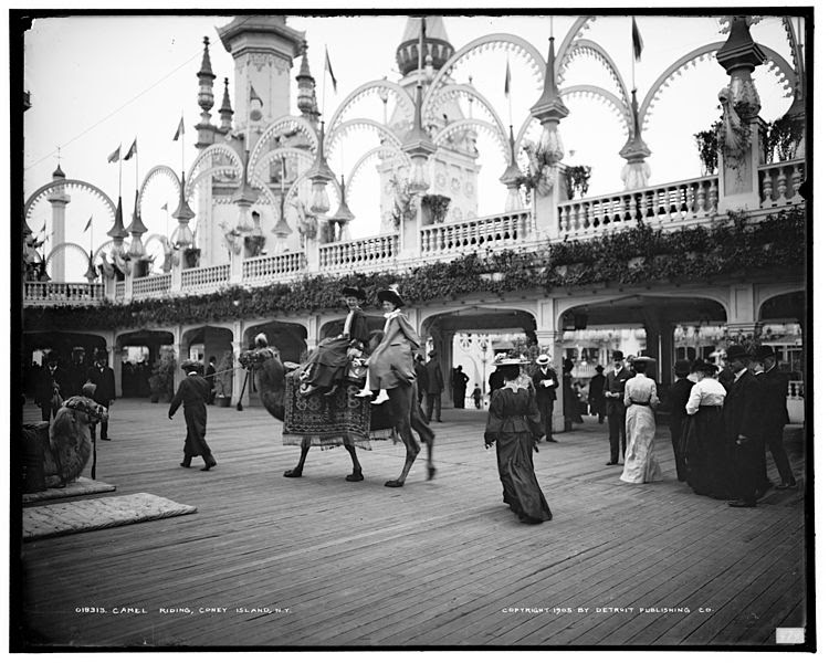 File:Riding a Camel, Luna Park.jpg