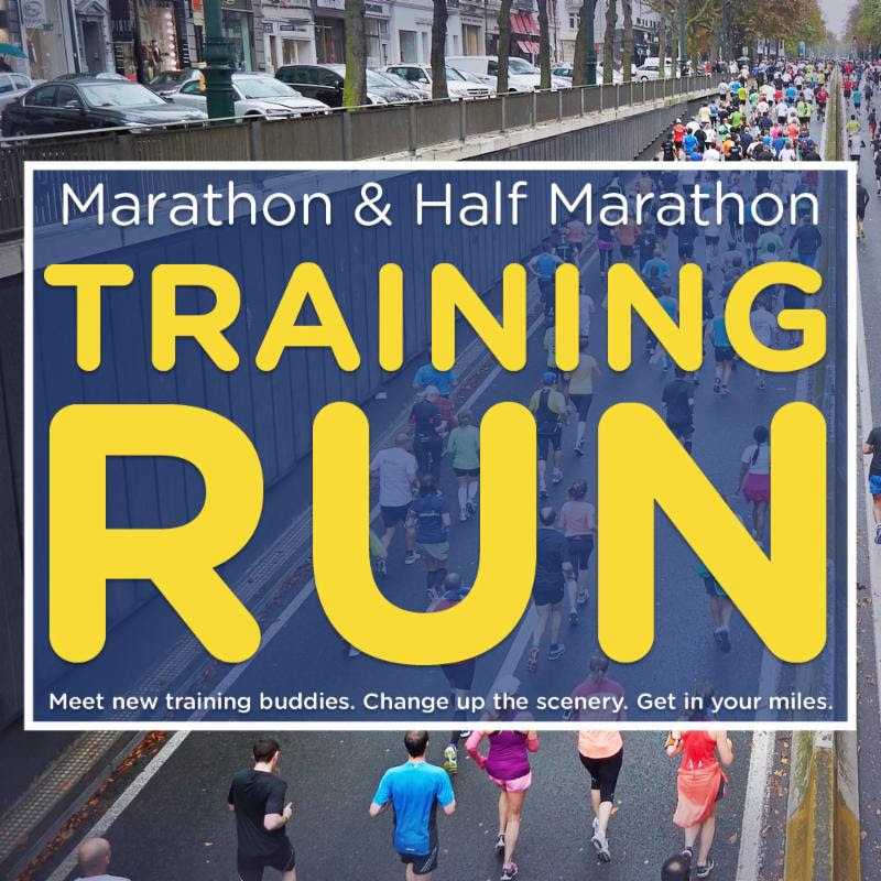 download run a marathon without training