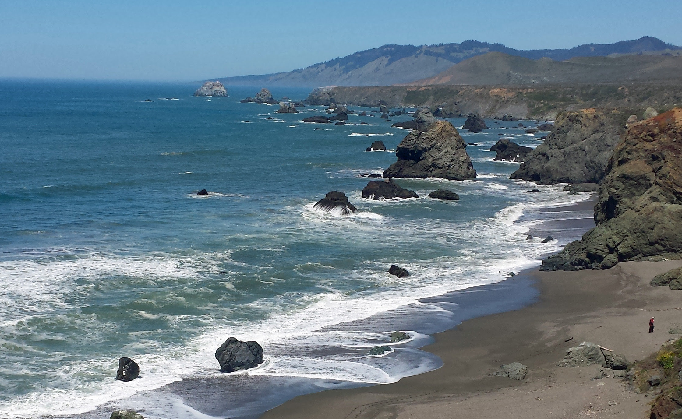 Sonoma Coast