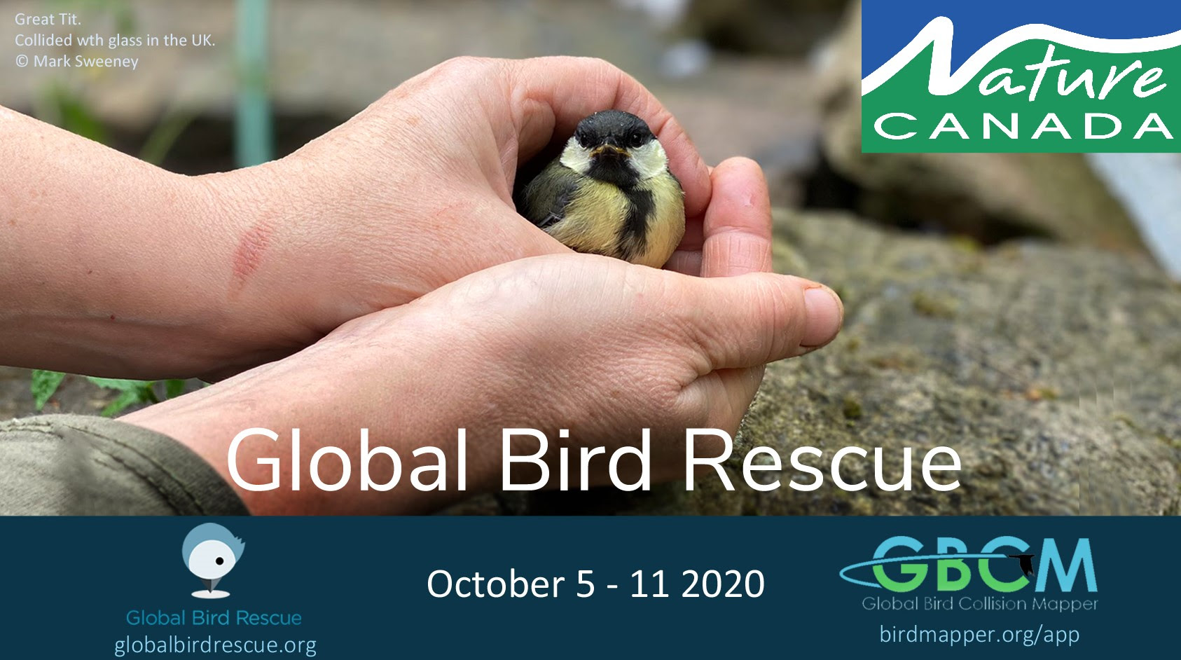 Global Bird Rescue