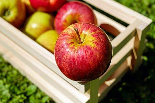 10 Clever Food Preservation Tricks You Likely Won’t Find On YouTube 10 Clever Food Preservation Tricks You Likely Won’t Find On YouTube