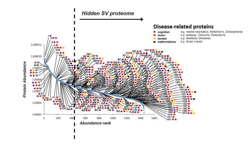 The uncharted molecular language of the brain