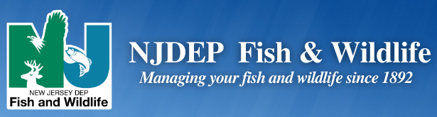 NJDEP, Fish & Wildlife