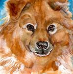 6x6 Heidi's Dog Watercolor, Pen and Ink Pet Portrait by Penny Lee StewArt - Posted on Tuesday, February 17, 2015 by Penny Lee StewArt
